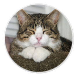 Niedliche Katze Keramikknauf