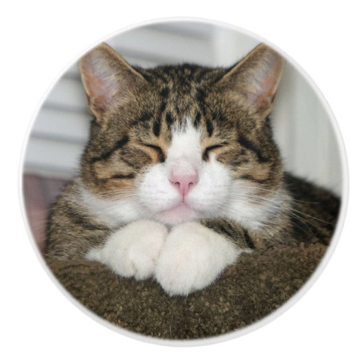 Niedliche Katze Keramikknauf (Vorderseite)