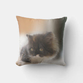 Niedliche Katze Kissen