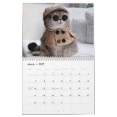 Niedliche Katze & Kitten 2023 Kalender (Mär 2027)