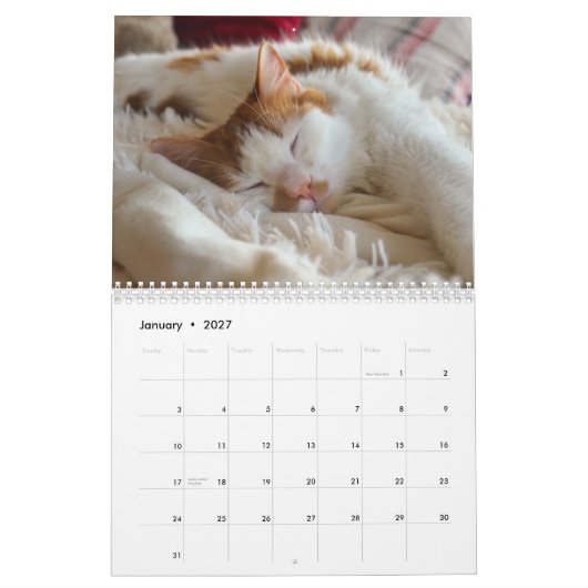 Niedliche Katze & Kitten 2023 Kalender (Jan 2027)