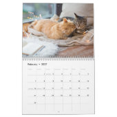 Niedliche Katze & Kitten 2023 Kalender (Feb 2027)