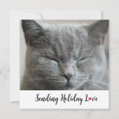 Niedliche Katze Liebe für Ferien (Vorderseite)