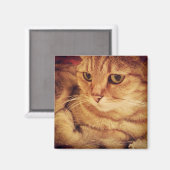 Niedliche Katze Magnet (Vorderseite/Rückseite)