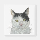 Niedliche Katze Magnet (Vorne)