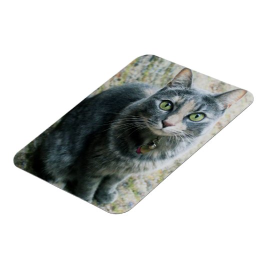 Niedliche Katze Magnet (Linke Seite)