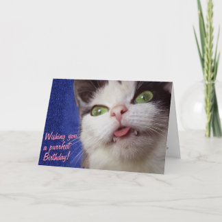 Niedliche Katze (mit anpassbarem Text) Karte