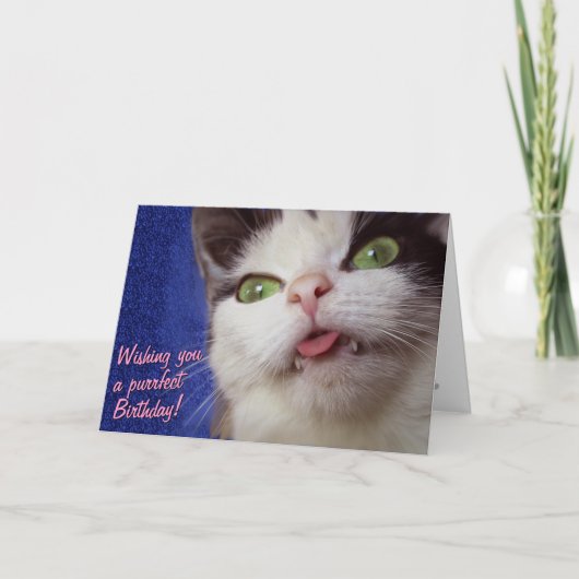 Niedliche Katze (mit anpassbarem Text) Karte (Vorderseite)