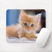 Niedliche Katze mit blauen Augen Mousepad (Mit Mouse)
