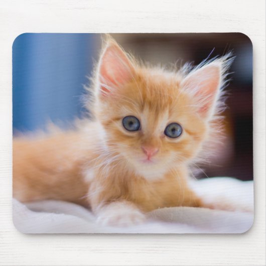 Niedliche Katze mit blauen Augen Mousepad (Vorne)