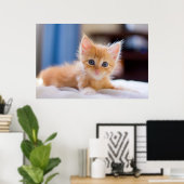 Niedliche Katze mit blauen Augen Poster (Heimbüro)