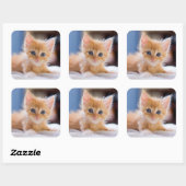 Niedliche Katze mit blauen Augen Quadratischer Aufkleber (Blatt)