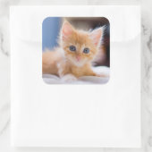 Niedliche Katze mit blauen Augen Quadratischer Aufkleber (Tasche)