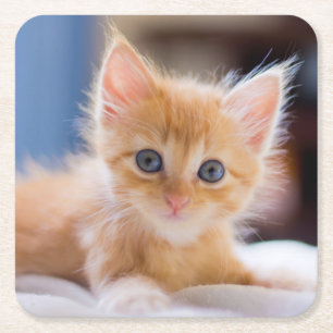 Niedliche Katze mit blauen Augen Rechteckiger Pappuntersetzer