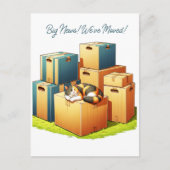 Niedliche Katze mit Boxfamilie Wir haben die Ankün Postkarte (Vorderseite)