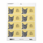 Niedliche Katze mit Brille auf dem gelben Adresset (Vorne)