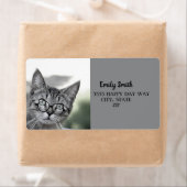 Niedliche Katze mit dem Glasses-Grau-Adressetikett (Insitu)