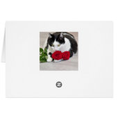 Niedliche Katze mit der Roten Rose (Rückseite Horizontal)
