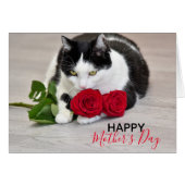 Niedliche Katze mit der Roten Rose (Vorderseite (Horizontal))