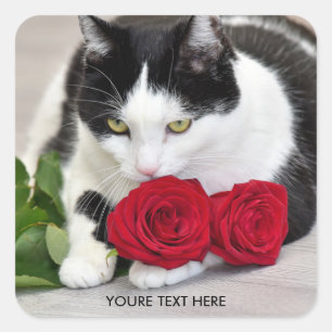 Niedliche Katze mit der Roten Rose Quadratischer Aufkleber