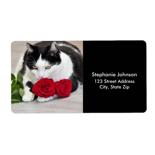 Niedliche Katze mit rote Rose (Vorne)