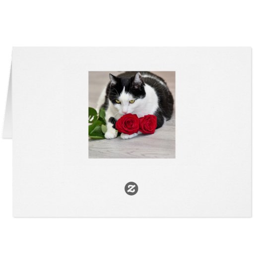 Niedliche Katze mit rote Rose (Rückseite Horizontal)