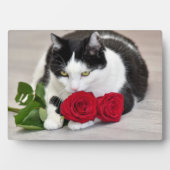 Niedliche Katze mit rote Rose Fotoplatte (Vorderseite)