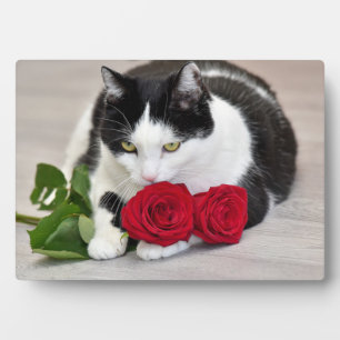 Niedliche Katze mit rote Rose Fotoplatte