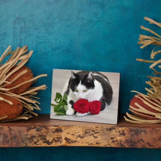 Niedliche Katze mit rote Rose Fotoplatte (Seite)