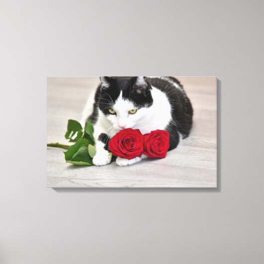 Niedliche Katze mit rote Rose Leinwanddruck (Vorderseite)