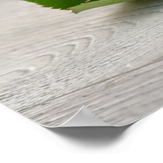 Niedliche Katze mit rote Rose Poster (Ecke)