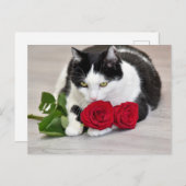 Niedliche Katze mit rote Rose Postkarte (Vorne/Hinten)