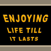 Niedliche Katze mit Sonnenbrille auf Urlaub Sherpadecke