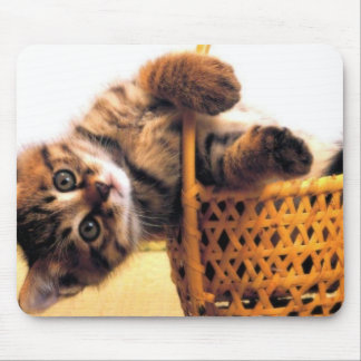 Niedliche Katze Mousepad