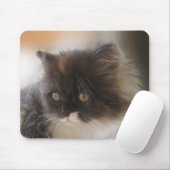 Niedliche Katze Mousepad (Mit Mouse)
