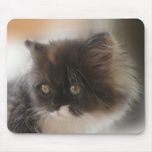 Niedliche Katze Mousepad (Vorne)