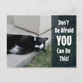 Niedliche Katze nicht abscheuen Postkarte
