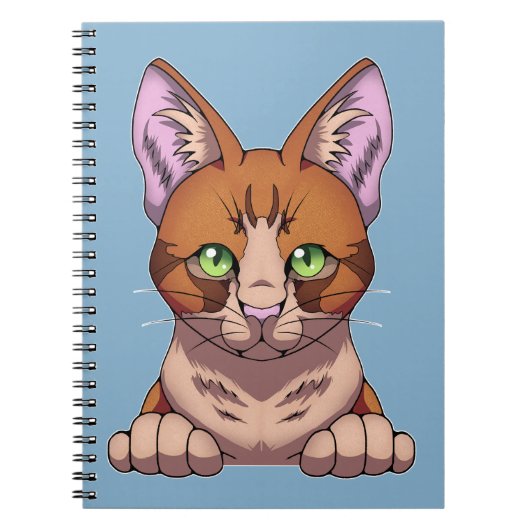 Niedliche Katze Notizblock (Vorderseite)