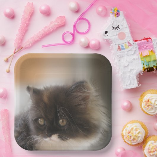Niedliche Katze Pappteller (Party)
