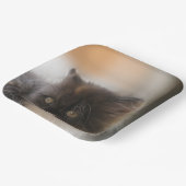 Niedliche Katze Pappteller (Gewinkelt)