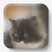 Niedliche Katze Pappteller (Vorderseite)