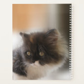 Niedliche Katze Planer (Rückseite)