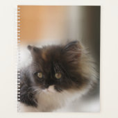 Niedliche Katze Planer (Vorderseite)