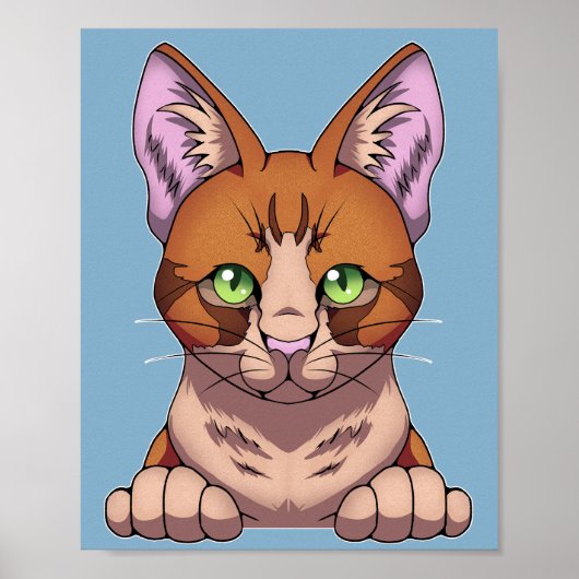 Niedliche Katze Poster (Vorne)