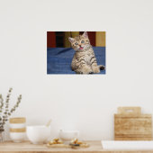 Niedliche Katze Poster (Küche)