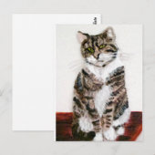 Niedliche Katze Postkarte (Vorne/Hinten)