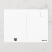 Niedliche Katze Postkarte (Rückseite)