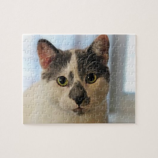 Niedliche Katze Puzzle (Horizontal)