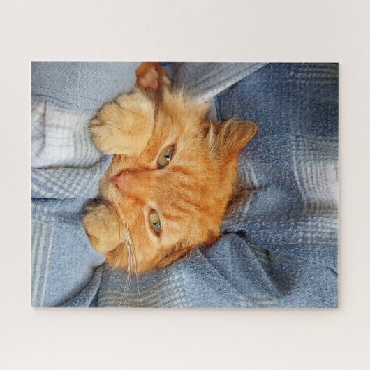 Niedliche Katze Puzzle (Horizontal)