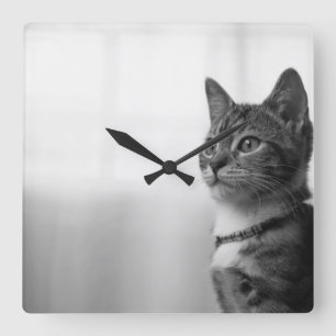 Niedliche Katze Quadratische Wanduhr